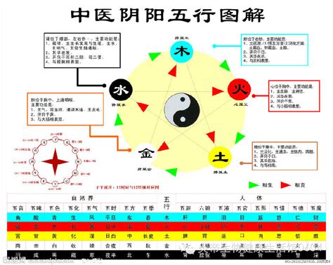 五行相生相剋圖|五行相生相剋:五行,四季五行,相生相剋,概念對應,五行數理,五行方。